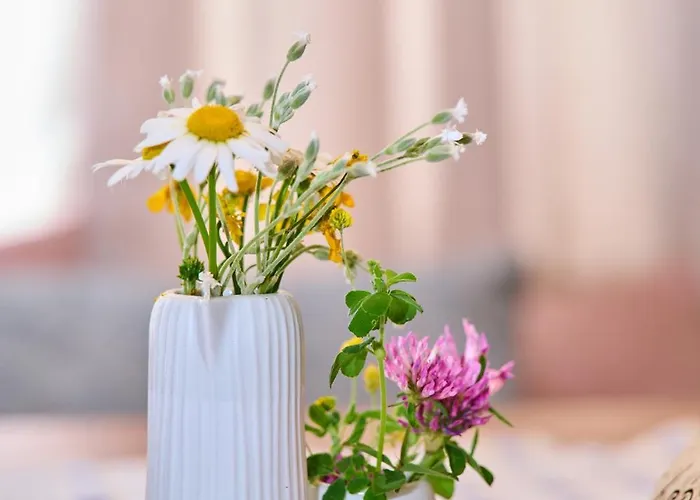 Διαμέρισμα Meine Zeit