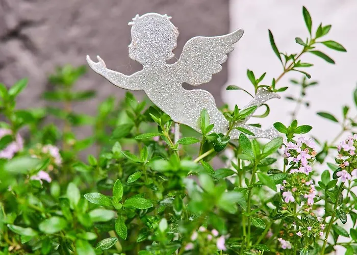 Meine Zeit Апартаменты Elsbethen